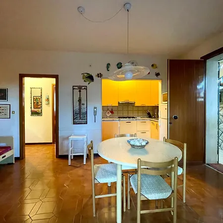 Alba Nel Cuore Della Pineta