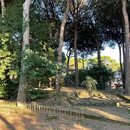 Alba Nel Cuore Della Pineta Lido di Jesolo