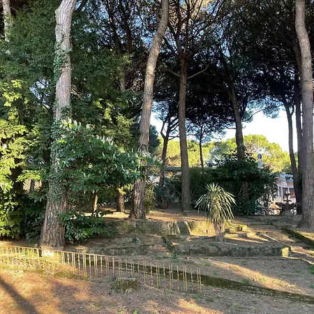 Alba Nel Cuore Della Pineta Lido di Jesolo